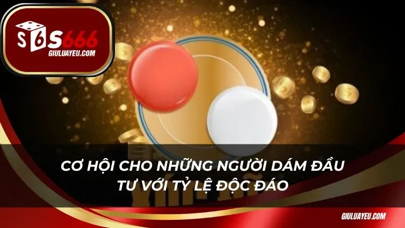 Xóc Đĩa Vip 3d S666 Cơ hội cho những người dám đầu tư với tỷ lệ độc đáo